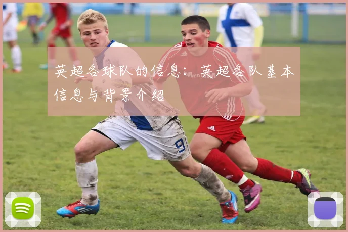 英超各球队的信息:英超各队基本信息与背景介绍